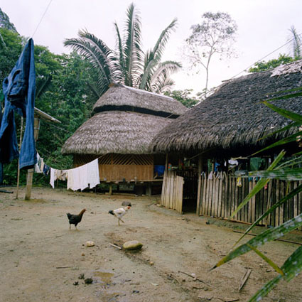 DianaMulilo