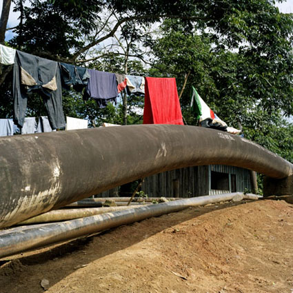 DianaMulilo